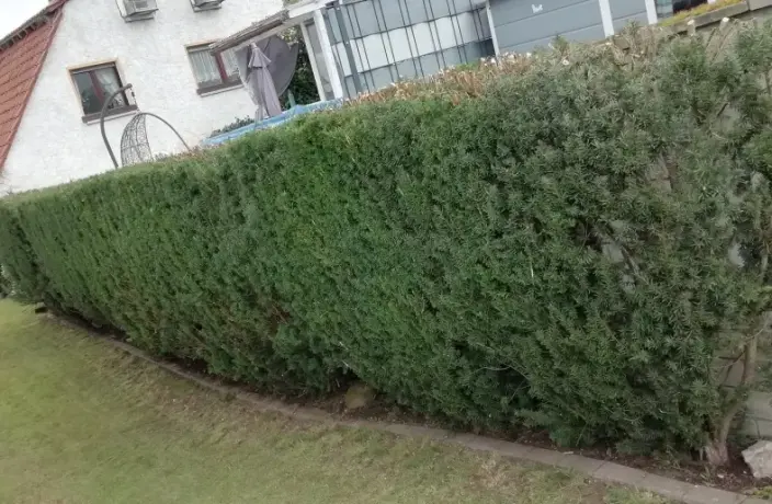 Beispielarbeit von Garten-Service Süsin - veröffentlicht auf Gartenbau.org